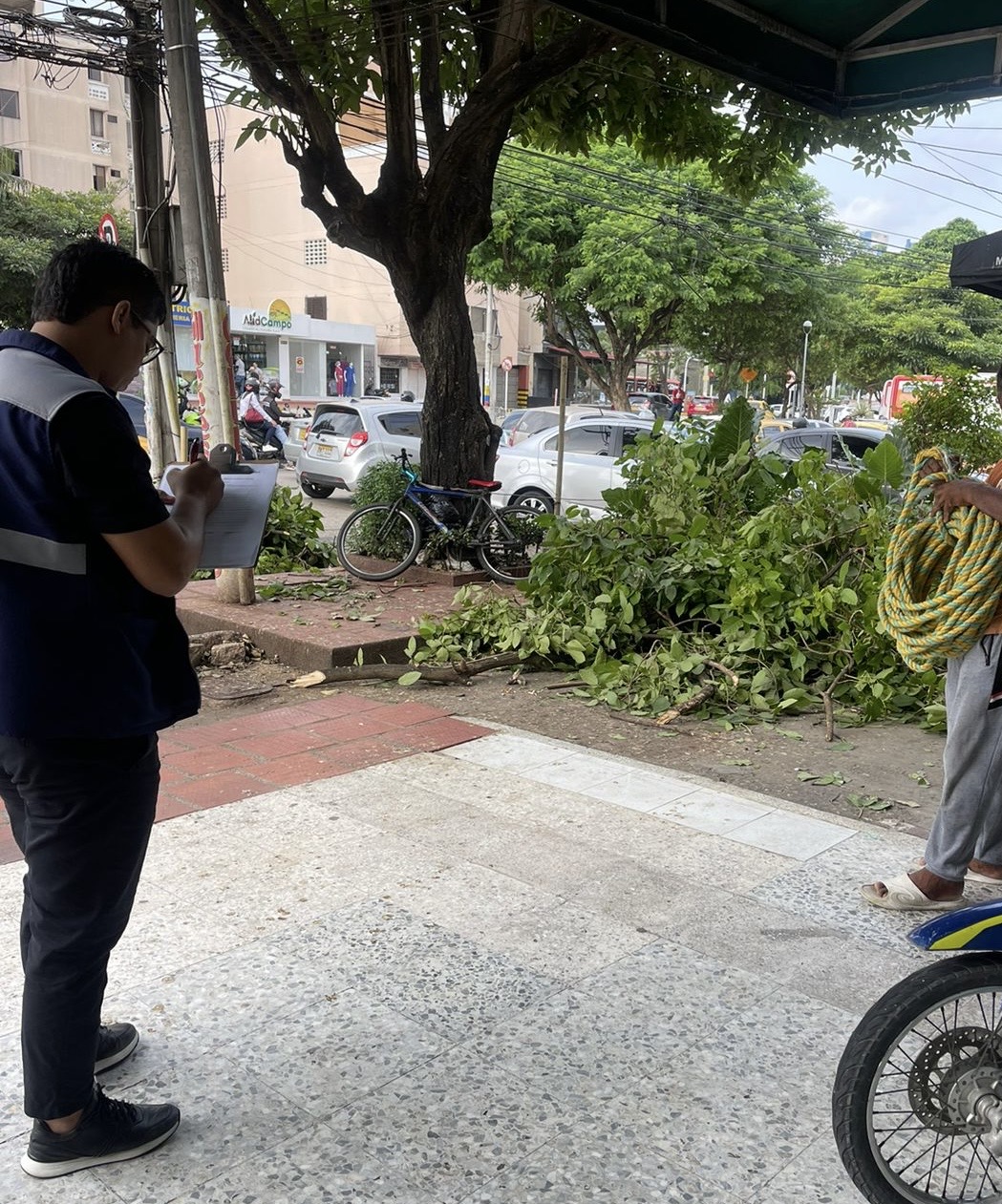 Personal de la patrulla ambiental realizando labores de conservación