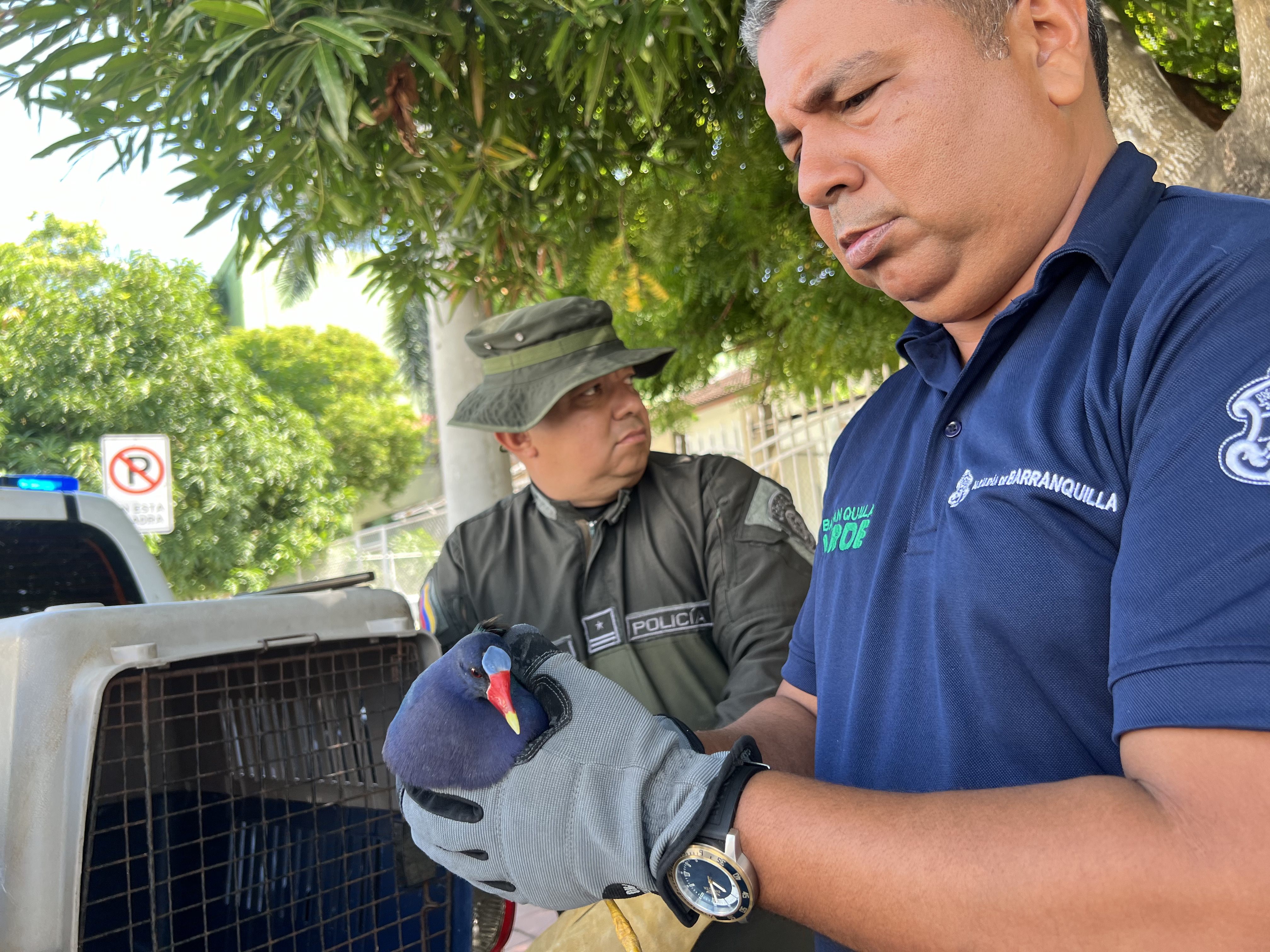 Equipo de la patrulla ambiental en actividades de campo