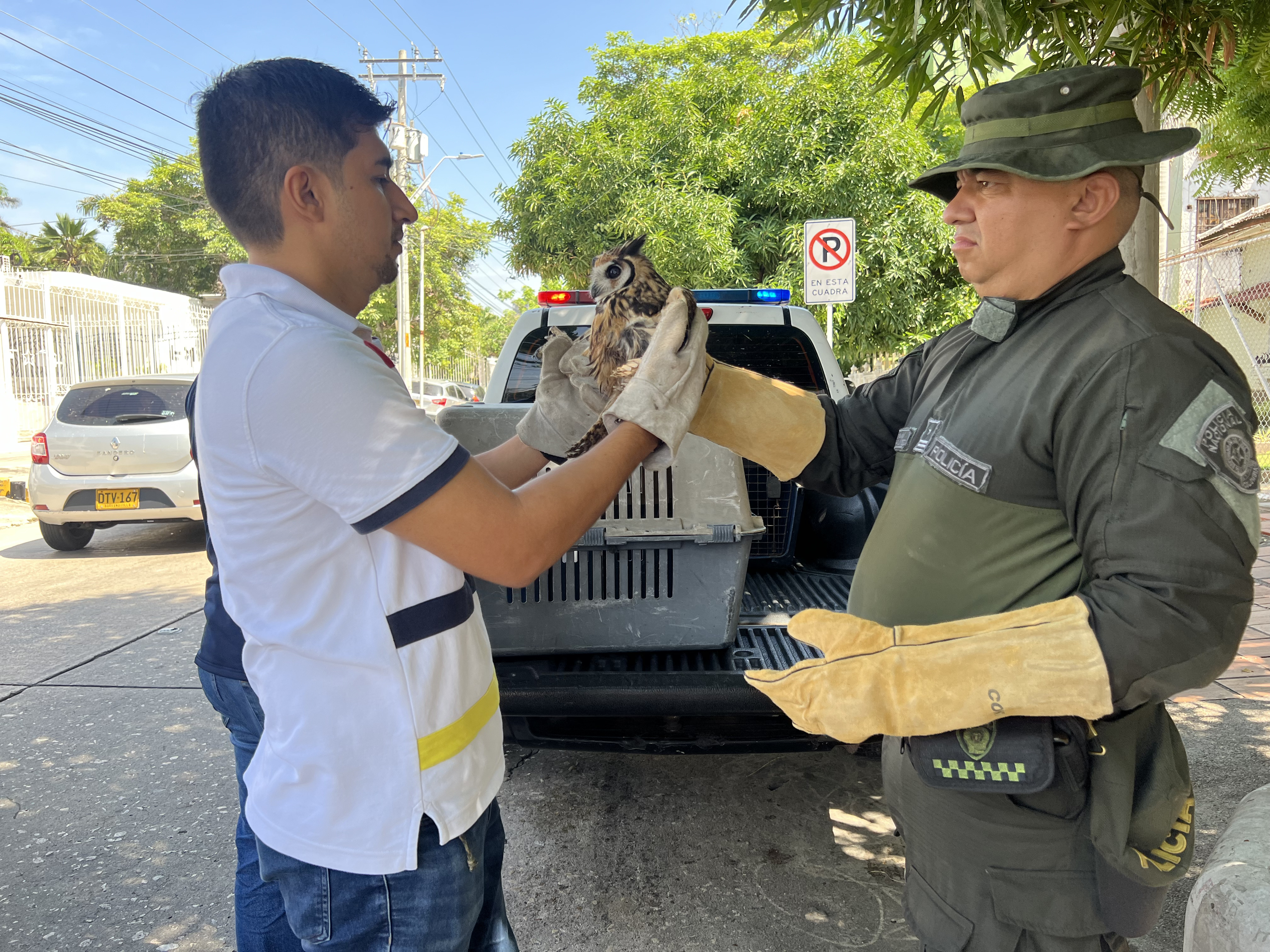 Patrulla ambiental trabajando en la protección de recursos naturales
