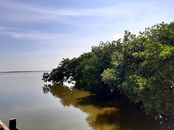 Imagen de la ciénaga 13